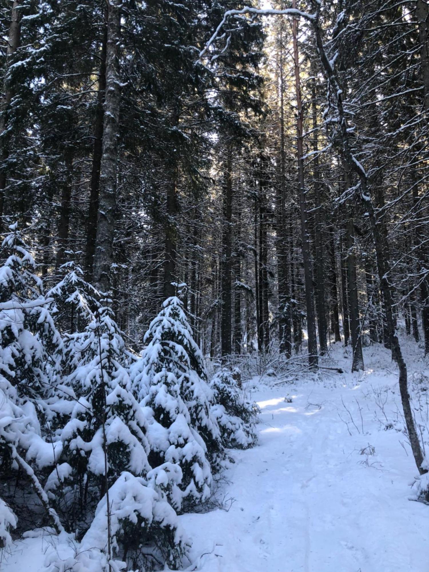 Kungsbergetnatur Järbo Exterior foto